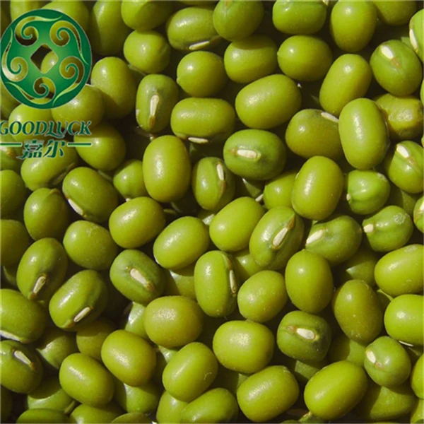 Mung Beans Bulk Green Mung Beans For Sale
