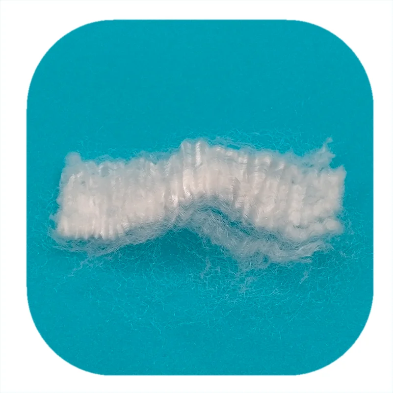 Factory Wholesale Best Price Recycled White Polypropylene PP Fiber for Filtration