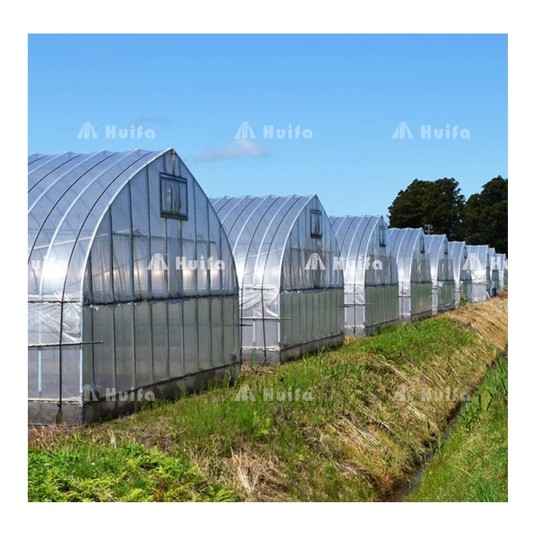 Large Multi-Span Green House Agricultural Vegetable Greenhouse With Tomato Hydroponic Growing System
