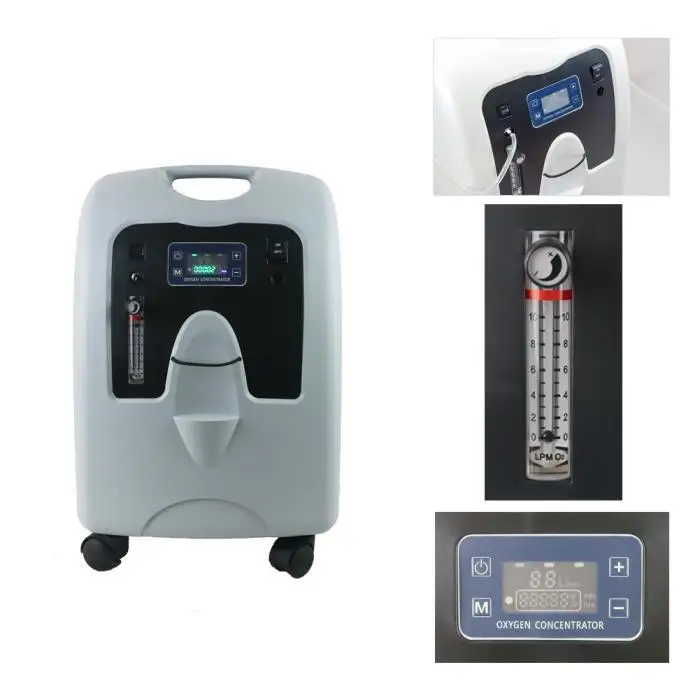 10L medical oxygen concentrator price dual flow oxygen concentrator for two people