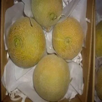 Best fresh melons 2022