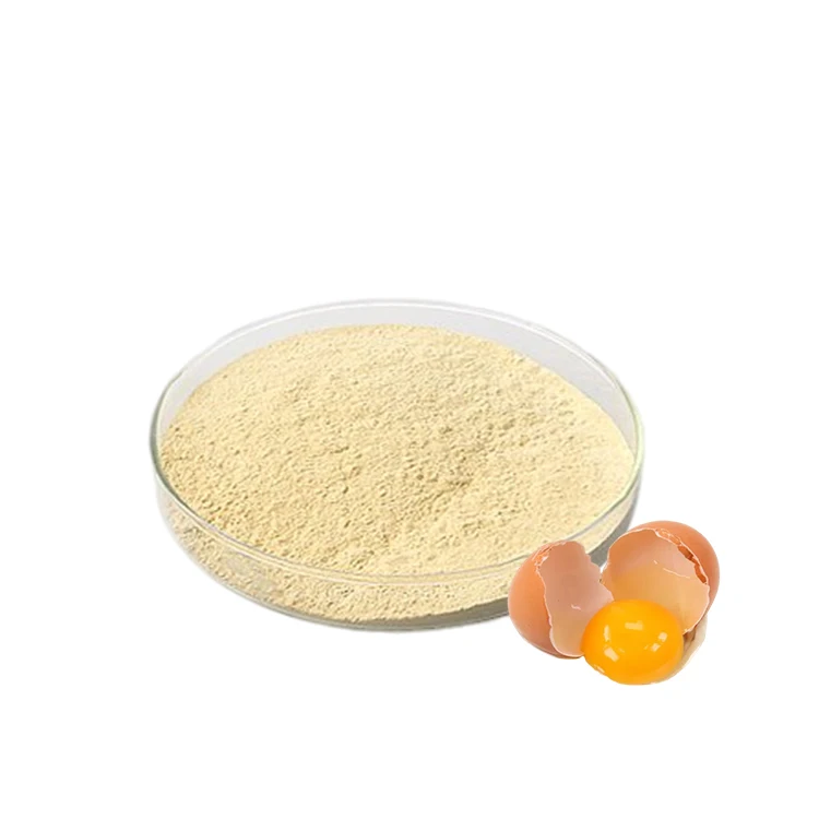 Premium Quality Food Grade Ovalbumin Protein Peptide Egg Albumin Ovalbumin Dietary Supplements
