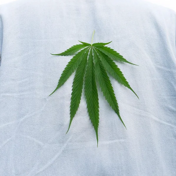 Factory manufacture trendy comfortable yarn dyed  hemp or  linen   fabric prices  in stock 170GSM