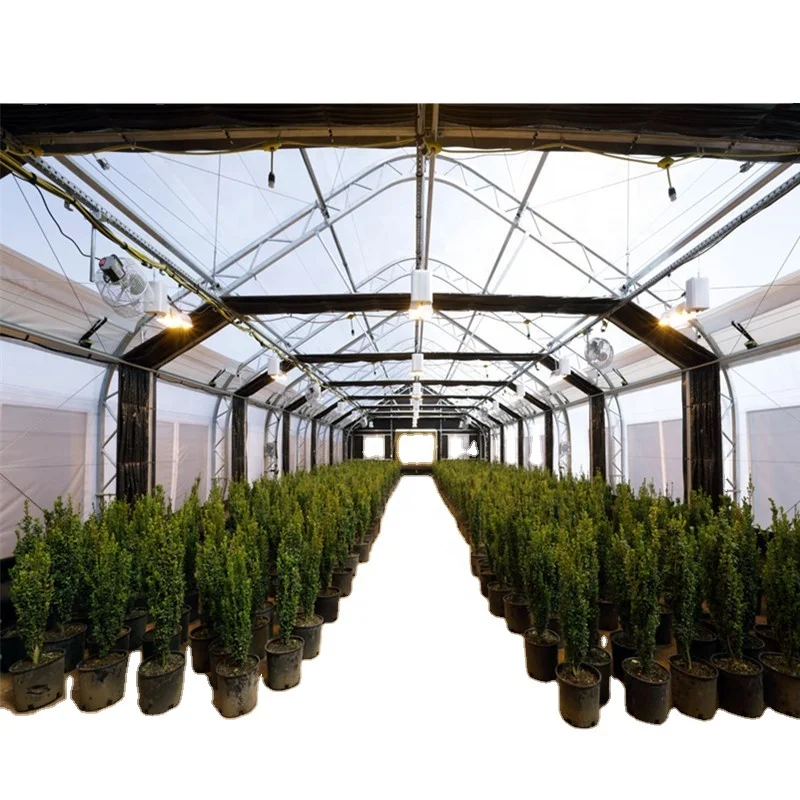 Blackout Greenhouse Sales Light Deprivation Breathable Greenhousen Medical Hemp Greenhouse