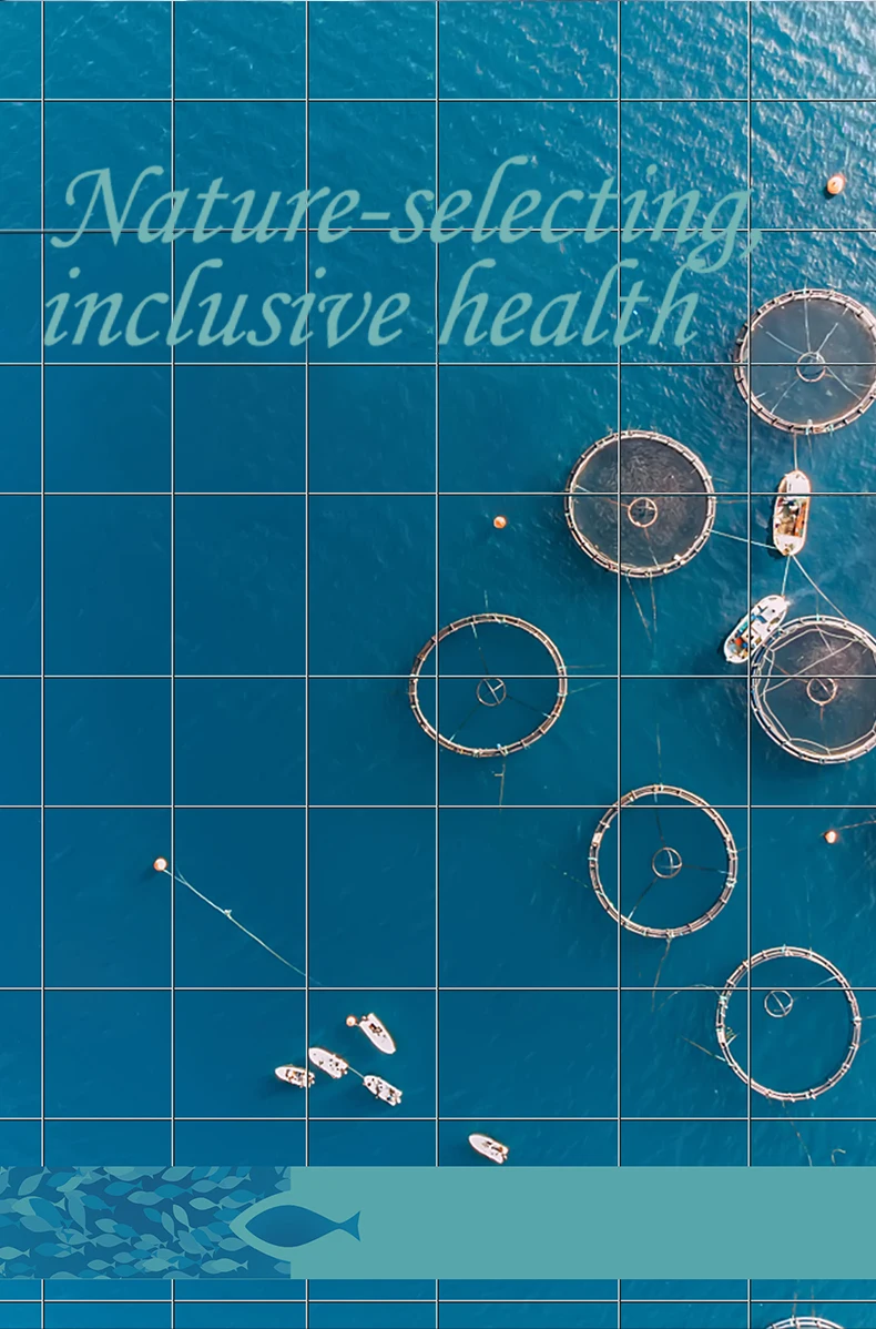 100% Pure Organic Cold-Pressed Moisturizing carrier  for hair skin care and Spa Cosmetic massage soap making Pangasius Fish Oil