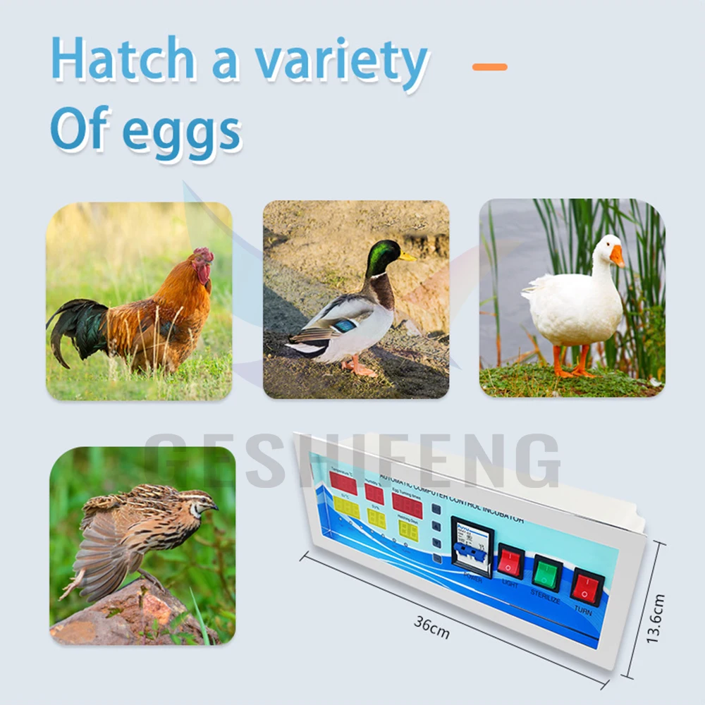 Digital Automatic Egg Incubator Controller For Humidity And Temperature Thermostat Controlling