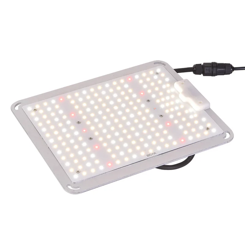 100W Led Board For Indoor Plants Full Spectrum Greenhouse Led grow lights led grow light board  IP67