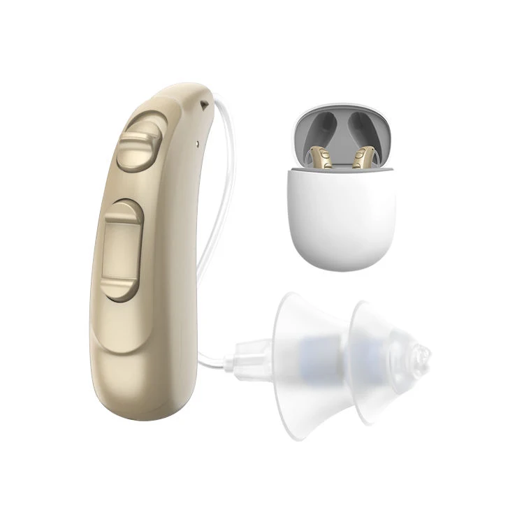 Super Mini Size invisible amplifier RIC digital hearing aid for sale