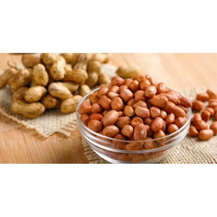 
Wholesale Rich Protein Organic Raw Peanuts Made In Uzbekistan 