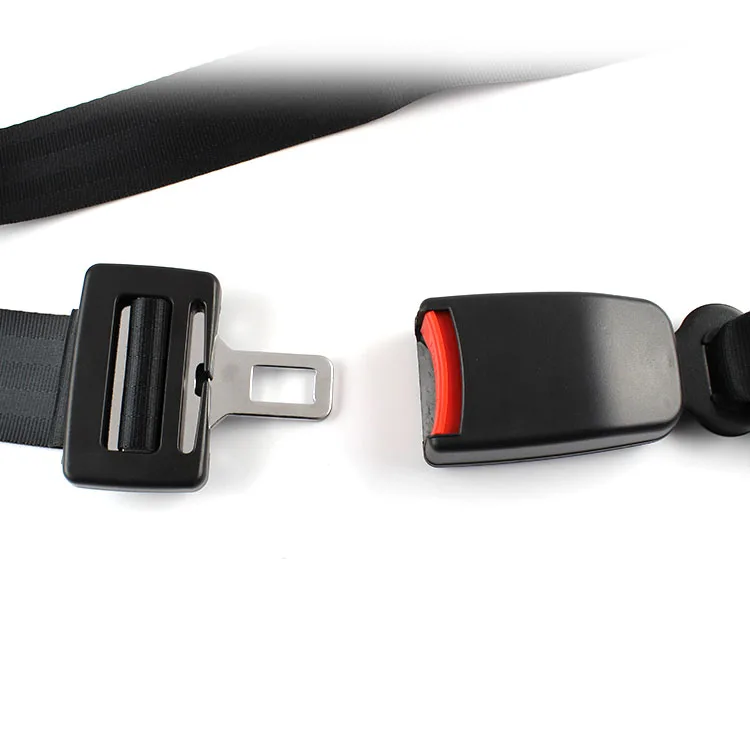 OEM Supplier 2 point removable safety seat belt
