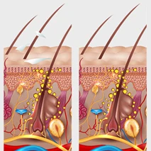 OEM Customs Logo Repair Damaged Hair Anti-Loss Shampoo And Chebe Conditioner