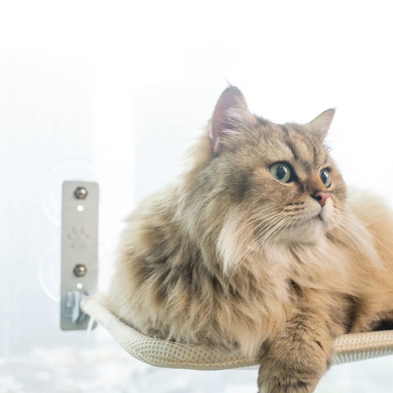 Replaceable Cover Mat Cat Hammock Bed Adjustable Cat Bed