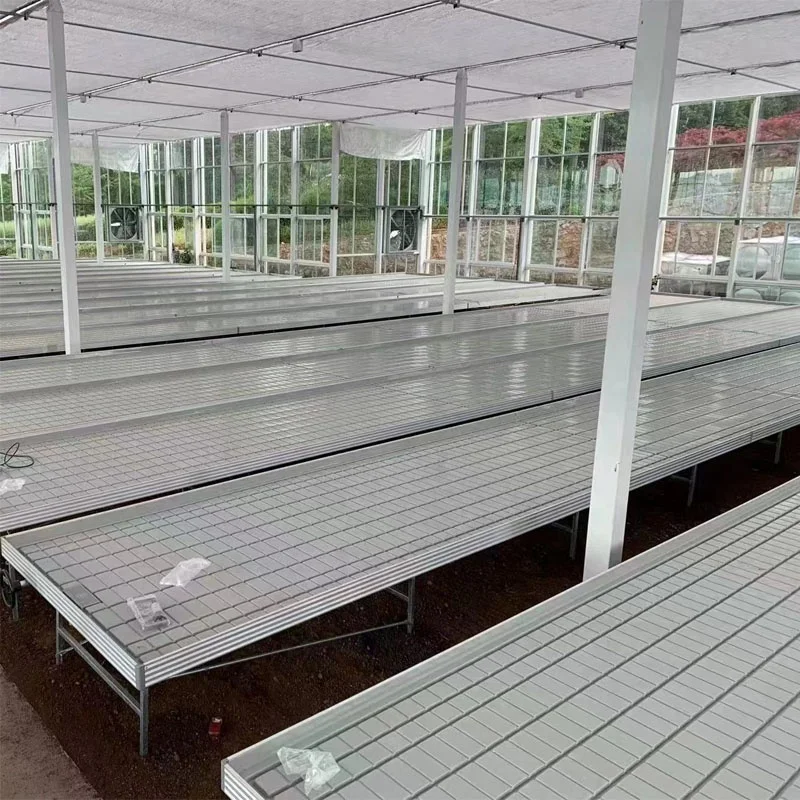 Rolling Irrigation Single Line ABS Plastic Hydroponic Ebb and Flow Tray Custom Mold Agricultural Greenhouse Bench