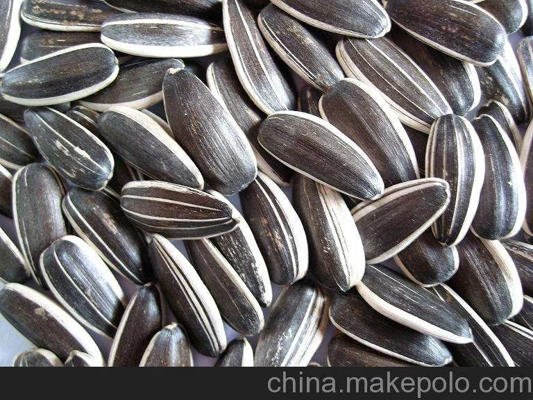 
Top Grade 361 New Crop Sunflower seeds 