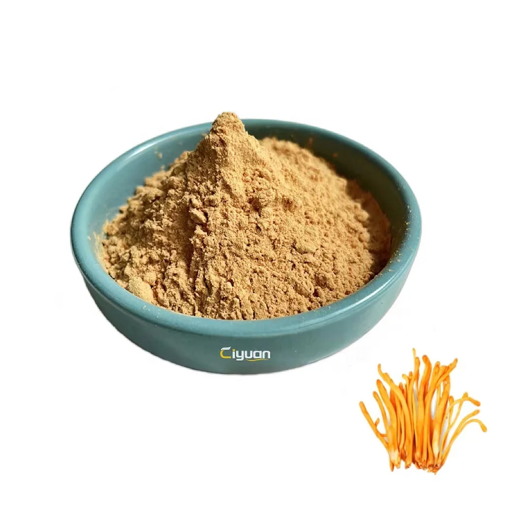 Factory Price  Cordyceps Militaris Mushroom Extract Powder Polysaccharides 10%-50% for capsule