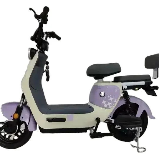 China Electric Bicycle Import Electric Bike High Speed Bicycle Electric Electric Bike 2000w