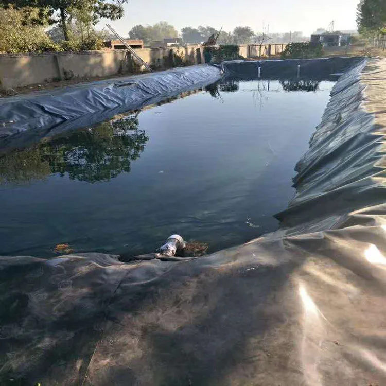 Isolation Geomembrane Ecological fish ponds artificial lakes&streams impervious Geomembranes
