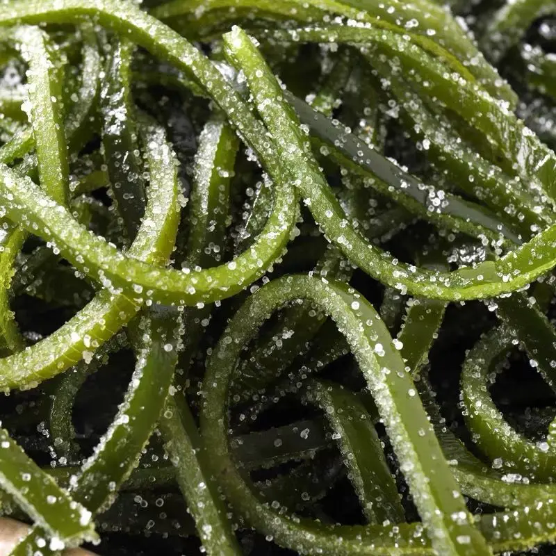 Seafood Factory Machine High Quality New Crop Dried Cut Salted Kelp Laminaria Dry Salted Kelp Silk Dried Without Salt Shredded