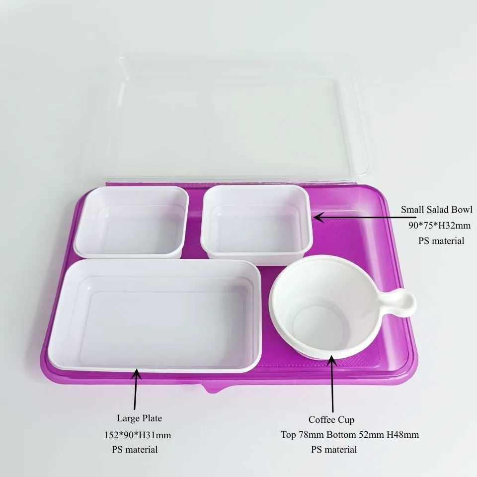 wholesale inflight lunch meal box atlas size PET PS aircraft catering service low price plastic food container storage box