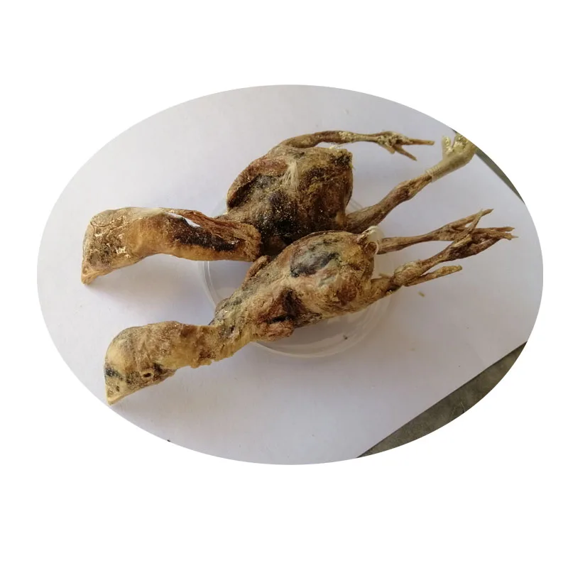 pet canned snacks quail chicken meat food freeze drying cat dog food