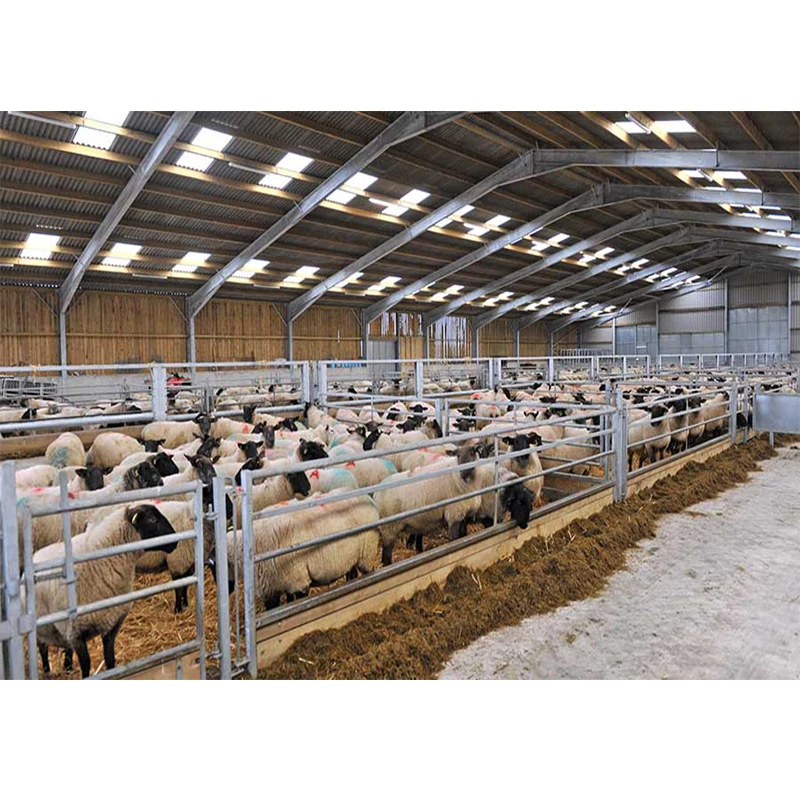 Prefab Metal Frame Steel Structure Design Cattle Shed Dairy Barn Farm Beef Shed