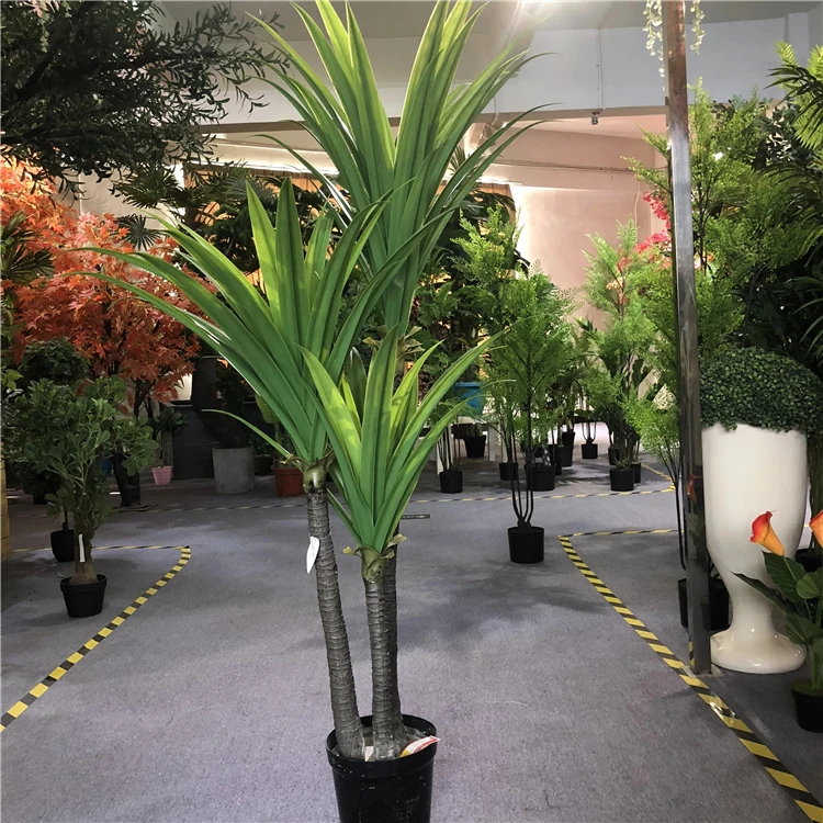 Factory wholesale artificial 3 trunks dracaena fragrans bonsai green plants for indoor decoration