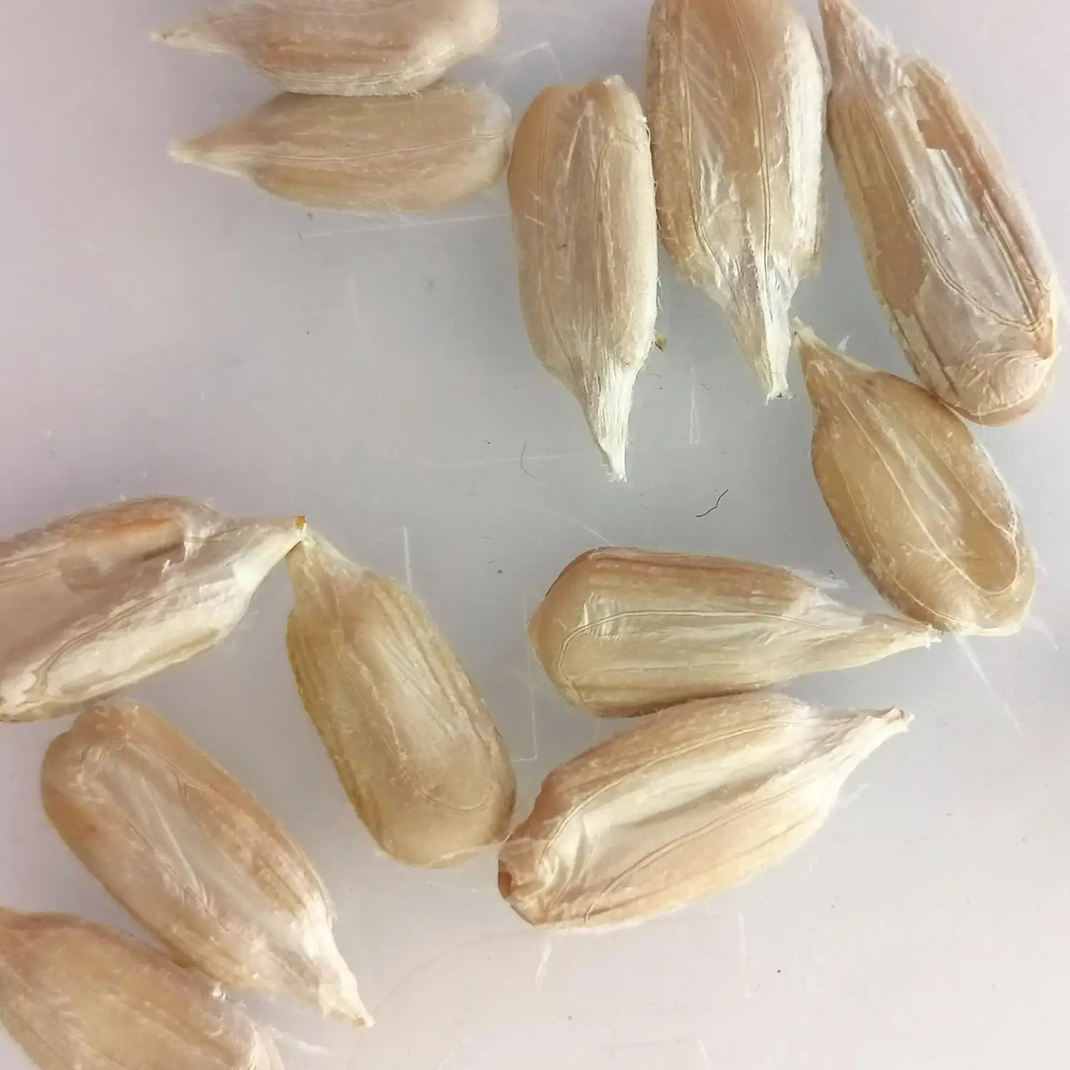 
high top chinese inner mongolia original taste sunflower seeds363 361 601 5009 red dates walnut pumpkin seeds with cheap price 