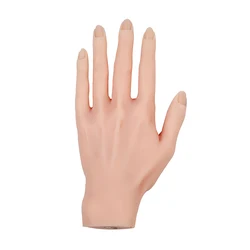 3d Model Nails Can Move And Display Hand Nail Molds Flexibly