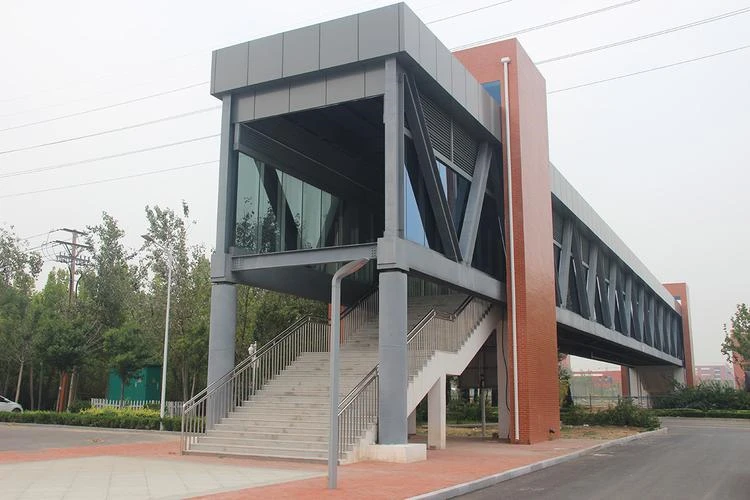 Build Bailey for Sale Customized Prefabricated Steel Structure Bridge Skywalk Bridge