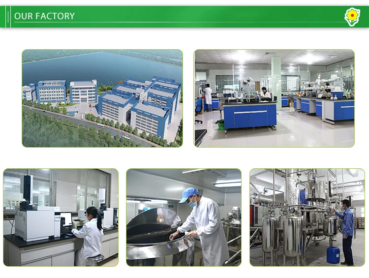 Hot sale flavors of milk/Milk Flavour/ soy milk flavor milk Powder flavor from China