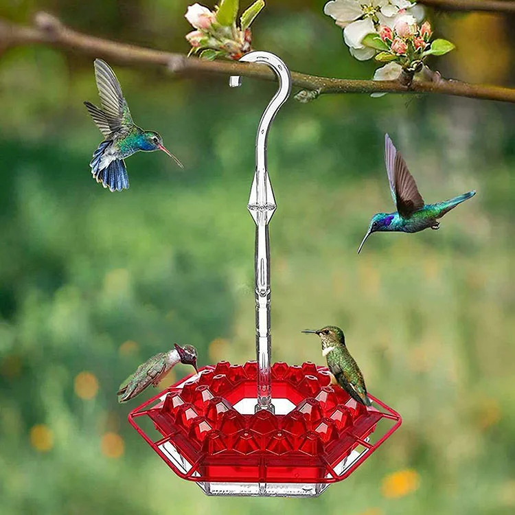 Forest Garden Hook Hexagonal Hole Pet Wild Bird Hummingbird Water Feeder Hanging Vajilla De Aves Supplies Products Accessories
