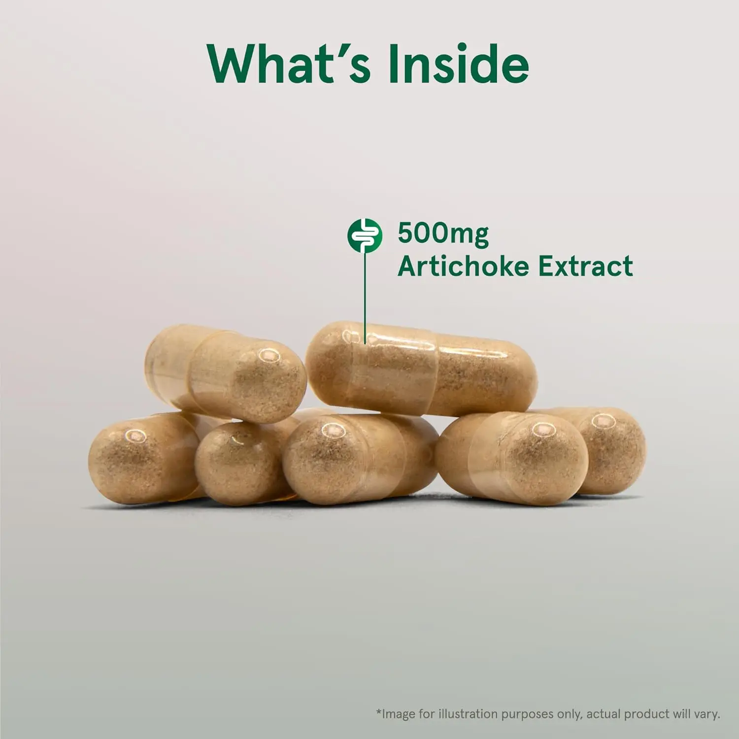 Artichoke 500 mg, Dietary Supplement for Liver Health and Digestion Support, 180 Veggie Capsules, 180 Day Supply