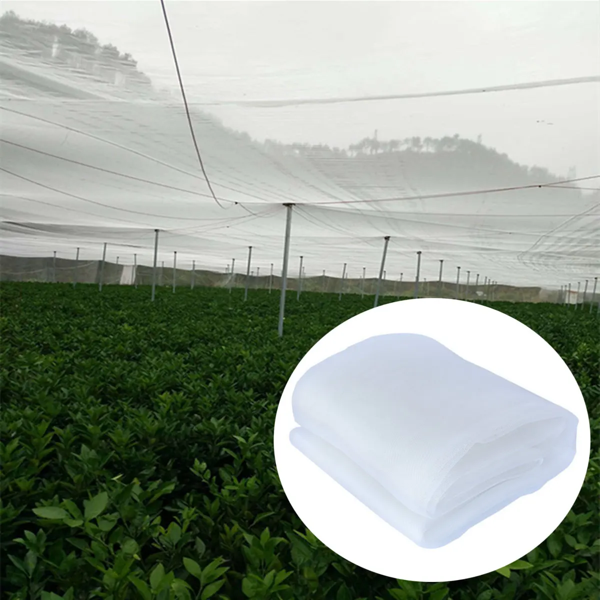 Gold Supplier High Quality Outdoor Tomato Protect Insect Proof Mesh Fine Mesh Net