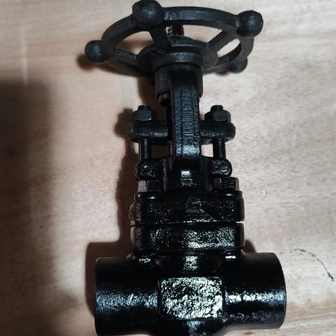 API 600 ASME B16.5 Forge Steel Gate Valve