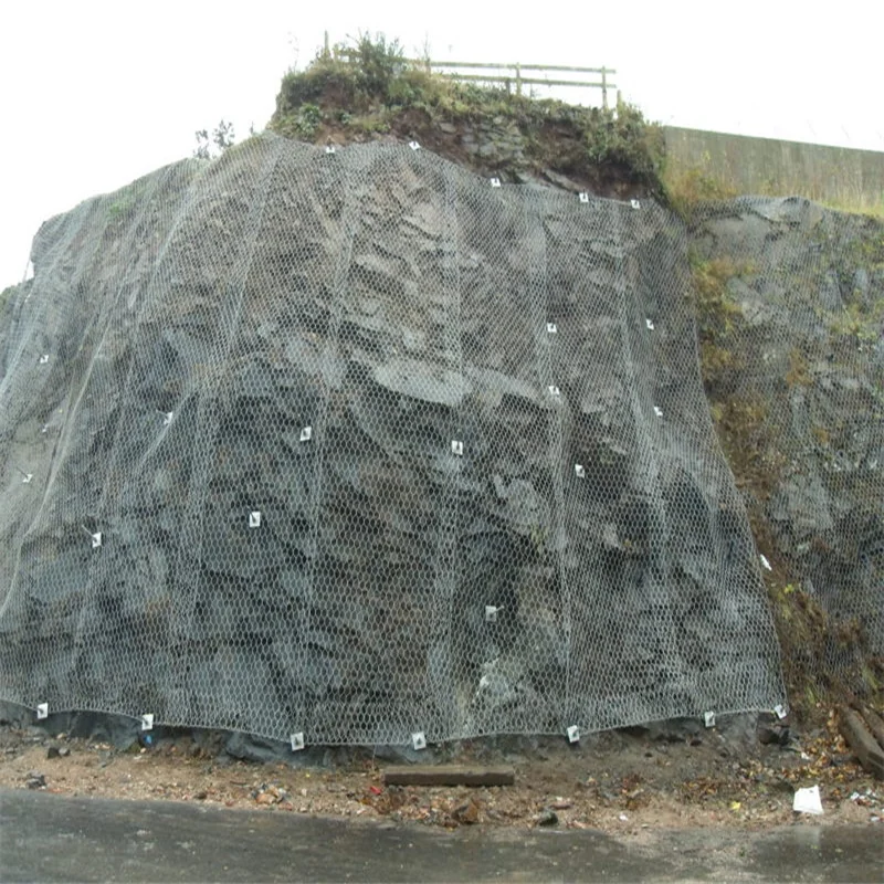 Galvanized Rockfall Barrier Mesh/Slope Protection Net/Stone Falling Protective Netting