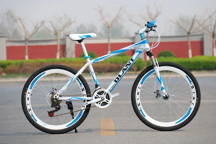 Variable speed bicycle for travel in 2020