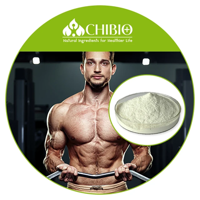 Пищевой 100% чистый натуральный гипоаллергенный аспергиллус Нигер хитозан питание для медицинских добавок