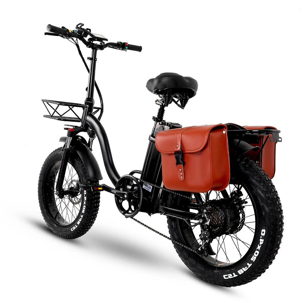 EZ033 Electric Bike (1)