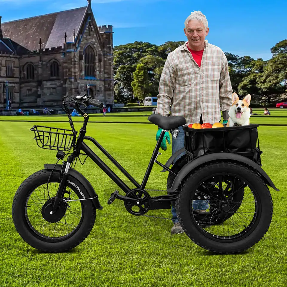 Трехколесный трехколесный электрический велосипед 20 дюймов 750 Вт