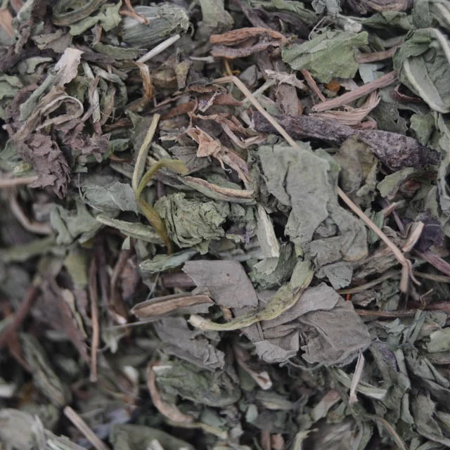 
Pu Gong Yin/Chinese Herb Herba Taraxaci/Mongolian Dandelion Herb/dandelion 
