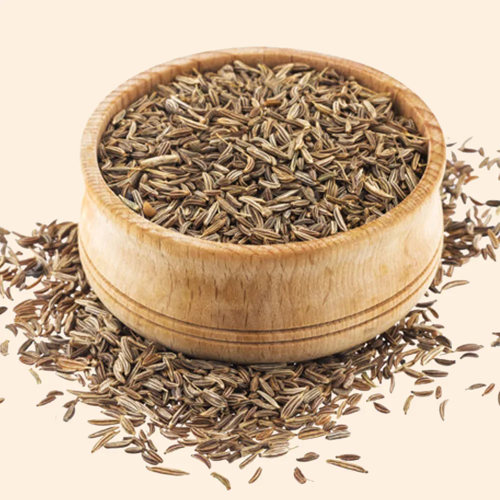 Hot Selling Organic Cumin Best Quality Herbs and Spice Cumin from Indian Exporter at Wholesale Price for export