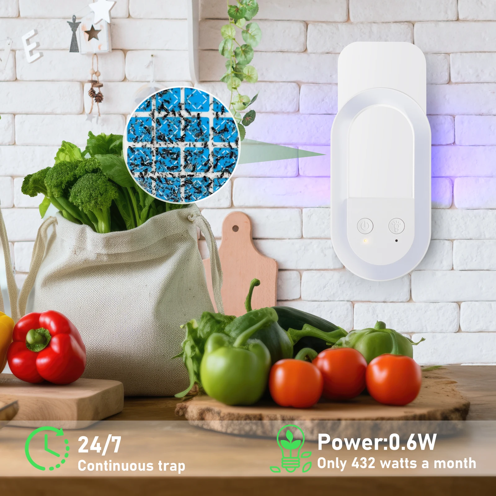 Sticky Board UV Light Fruit Flies Mosquitoes Gnat Catcher Fly Traps Plug In