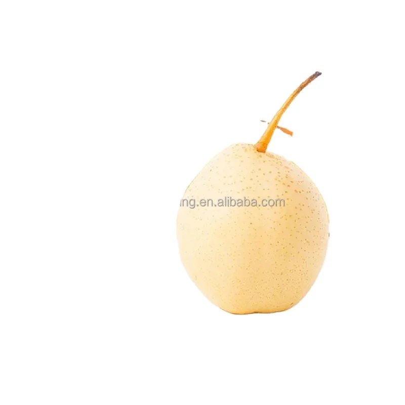 fresh pear of new crop 2022 at factory price