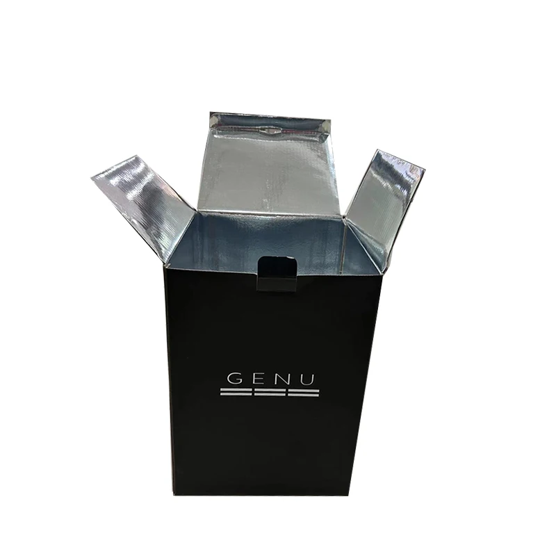 Best Price Of Waterproof Aluminum Foil Insulated Box for Cake Dessert and Food Express Delivery With Best Price