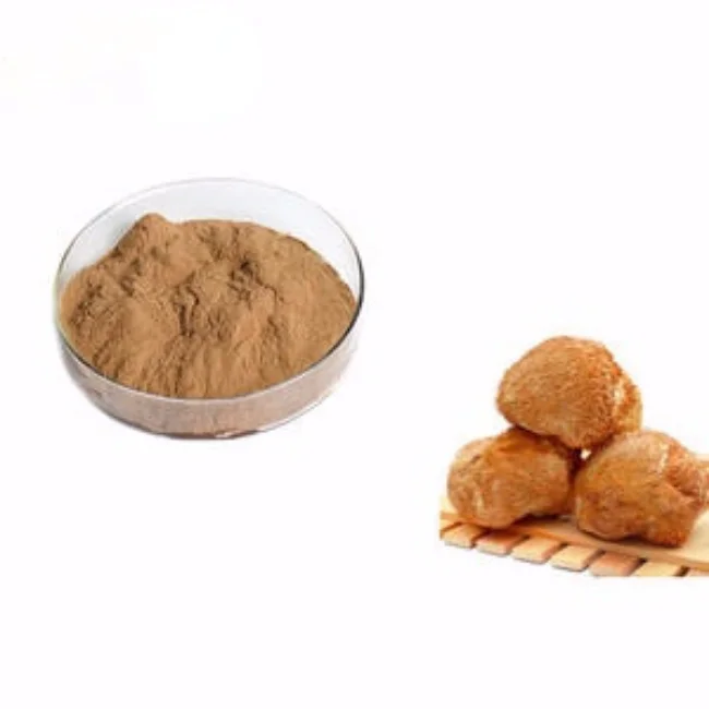 New Product lion mane mushroom extract lions mane mushroom powder