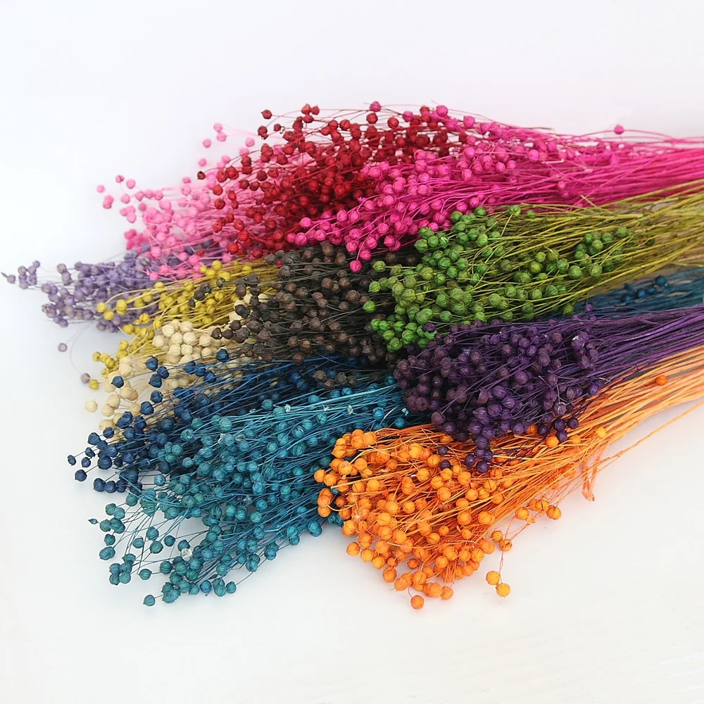 
Wholesale Home Wedding Decoration Flowers 45-50g Pepper bean 55-60cm long stem Colorful preserved Flower 