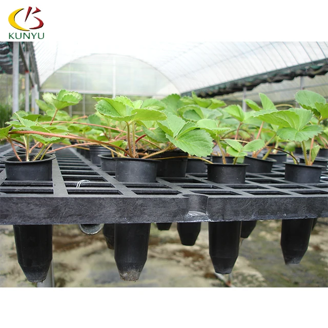 Foshan Kunyu High Quality Rolling Nursery Benches Greenhouses For Strawberries