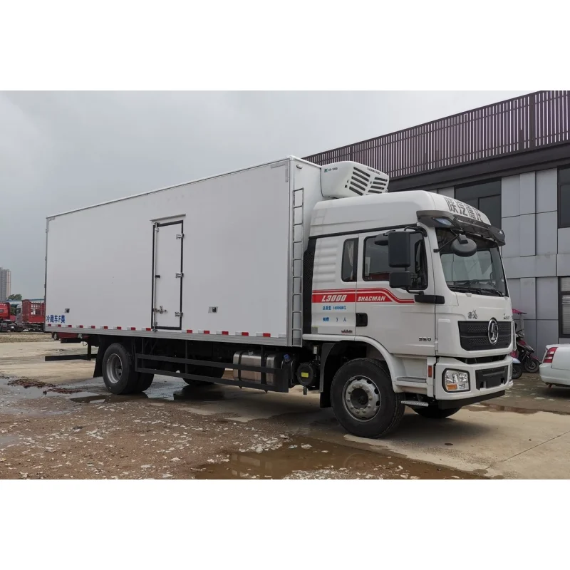2022 Hot Sale Refrigerator Cold L3000 Room Van Truck For Vegetable And Fruit