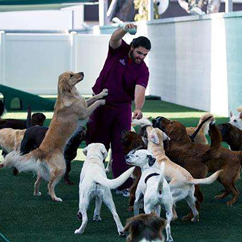 New Design Instock Outdoor Odorless Not Bad Clean Teeth Etpu Pet Ball