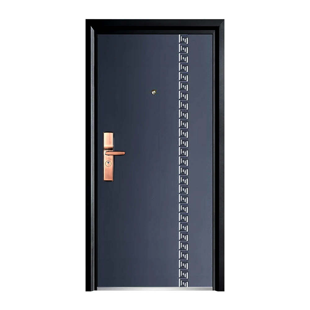 steel door (7)